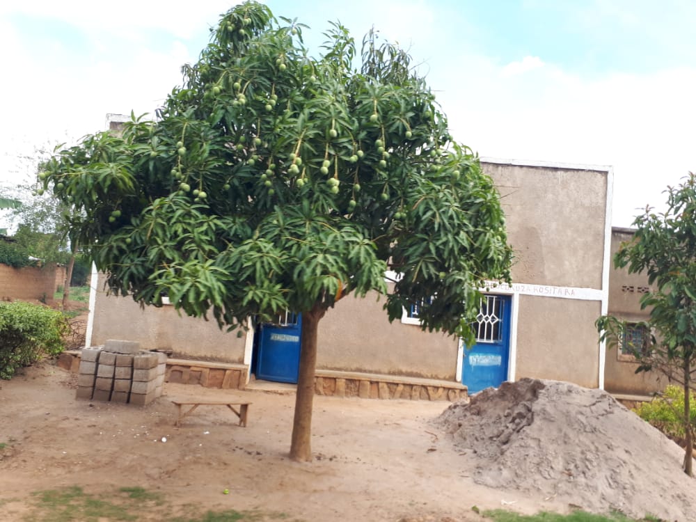 Buri rugo rusabwa nibura ibiti 5 by’imbuto