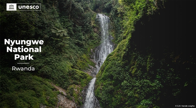Tumenye Nyungwe, ikigega cy’amazi y’u Rwanda