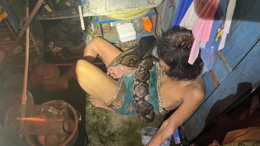 Umukecuru yahanganye n’inzoka ya metero enye rubura gica