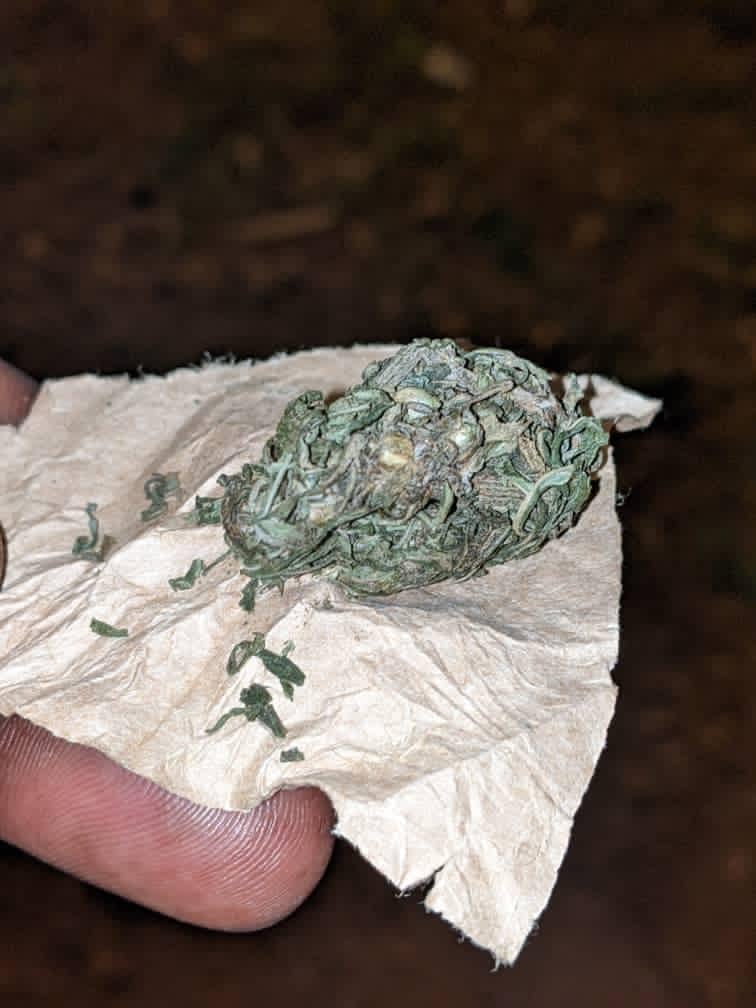 Hafi ya gare ya Nyanza hafatiwe abakekwaho ubwambuzi banywa urumogi