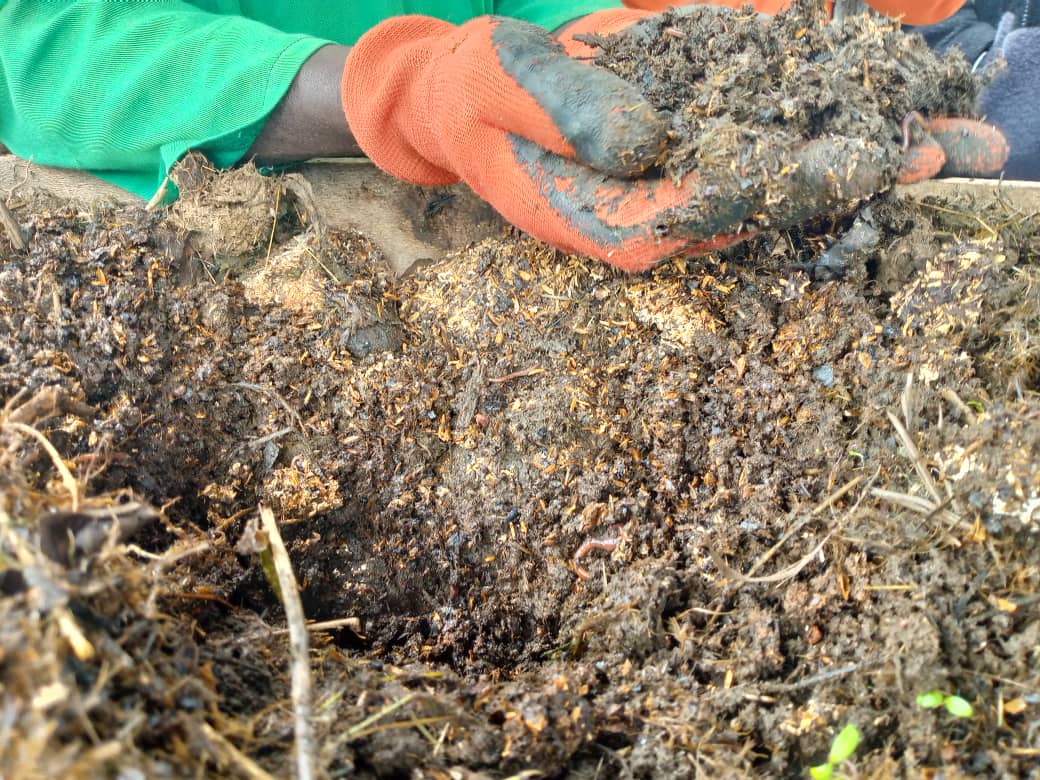 Uko ibishingwe byaba imari ishyushye n’ubukungu bwisubira mu Rwanda-Abahinzi