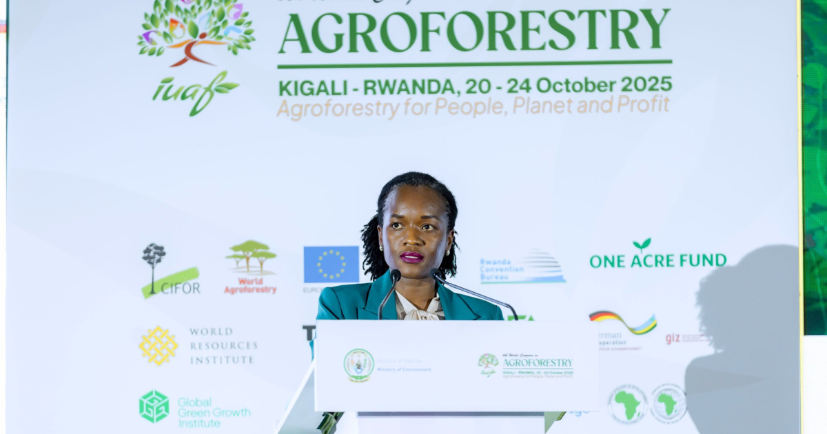 Rwanda to showcase how Agroforestry is preventing soil degradation ...